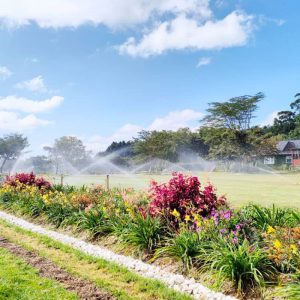 Shangda pop up sprinkler work at the garden