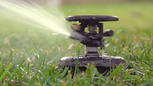 SD1501 pop up sprinkler working photo