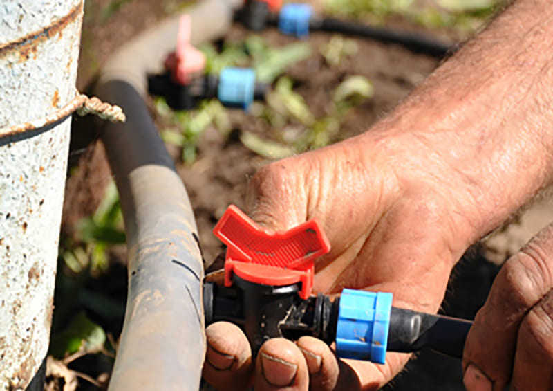 drip irrigation drip tape installation